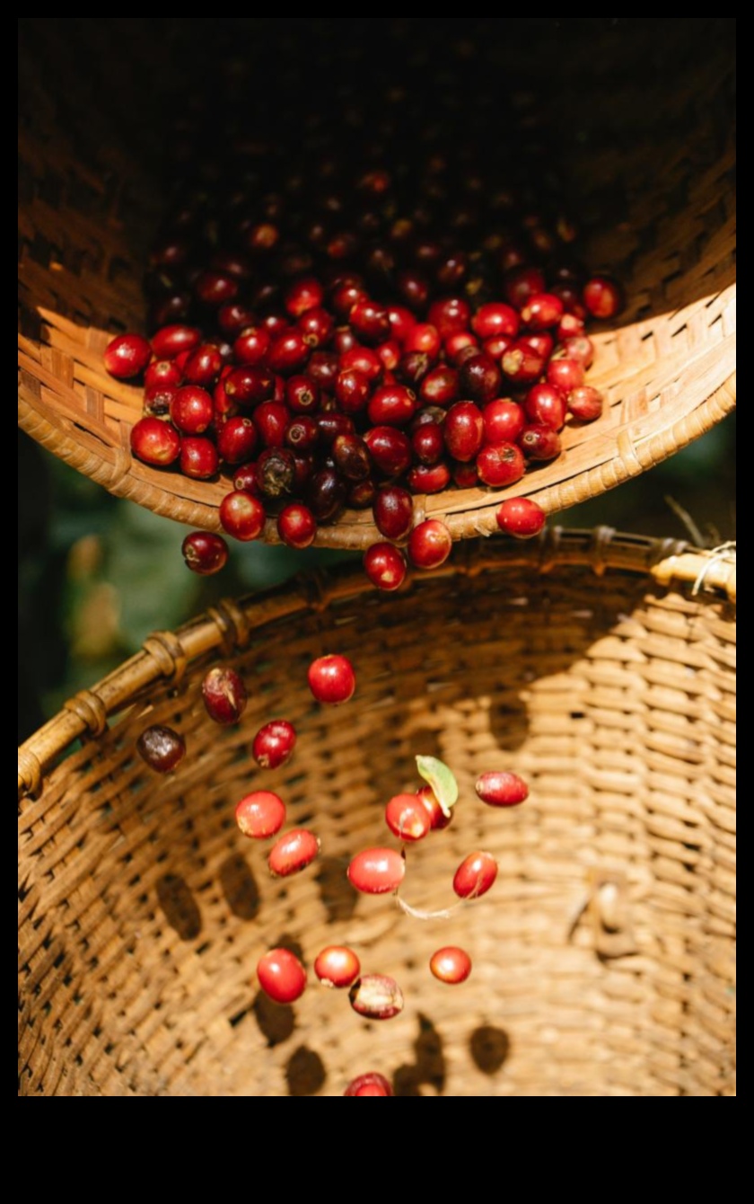 Berry Bonanza: Lezzetli Meyve Sularının Dünyasına Dalış