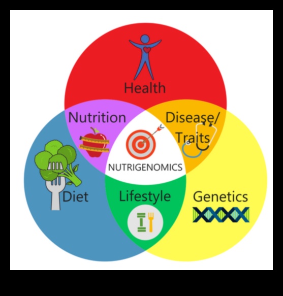 Genleriniz İçin Beslenme: Nutrigenomik Rehberi