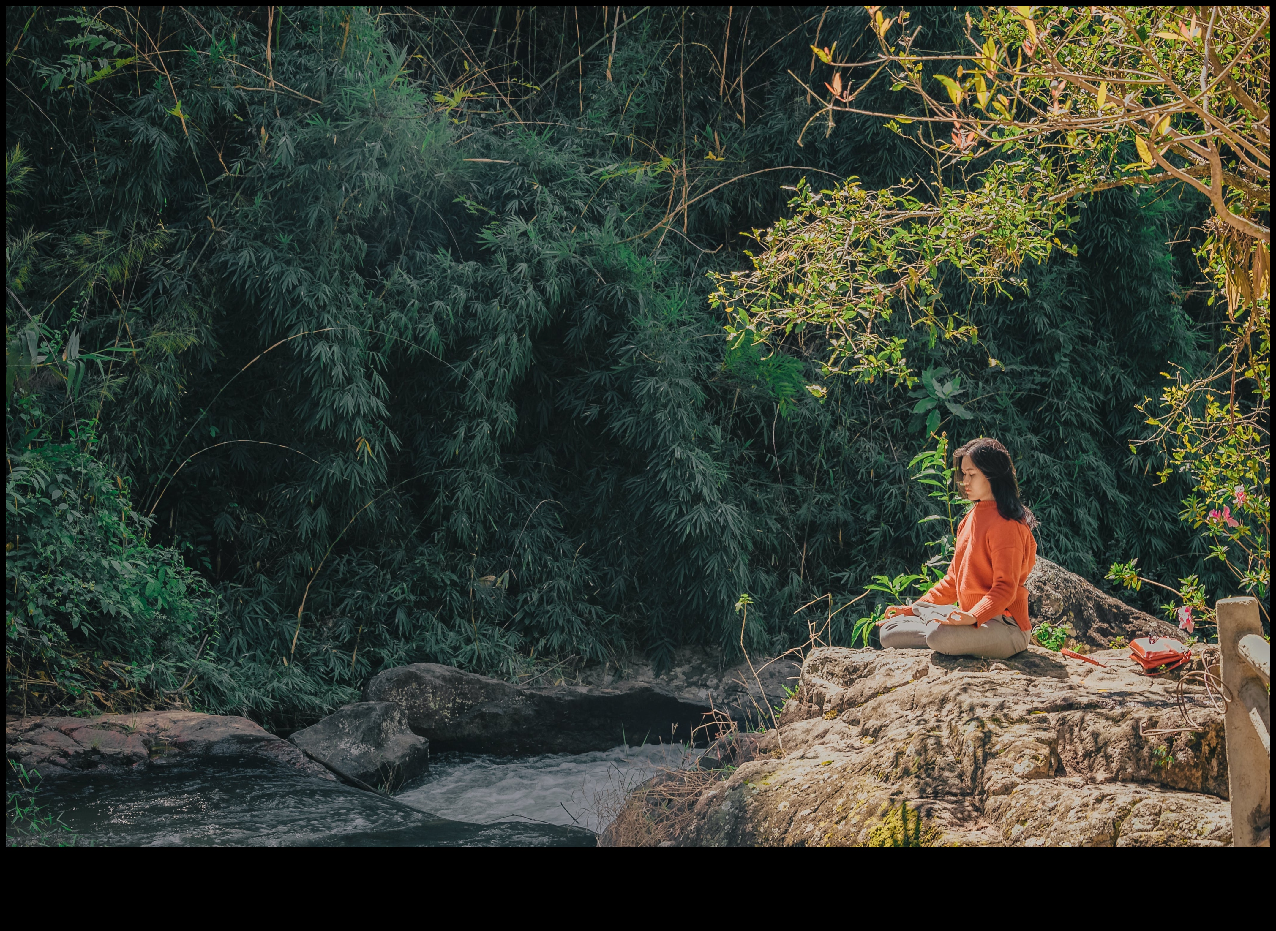 Meditasyon Ustalığı: Stresten Uzak Yaşama Yol Haritanız